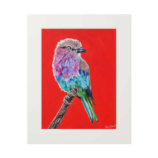 Colorful Lilac-Breasted Bird Fine Art Print with Passepartout — Vibrant Bird Wall Art