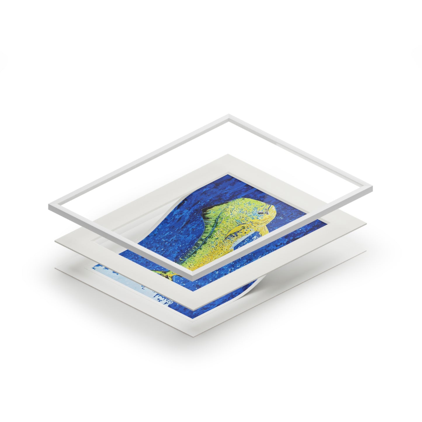 Mahi Mahi Coastal Fine Art Print with Passepartout Mat