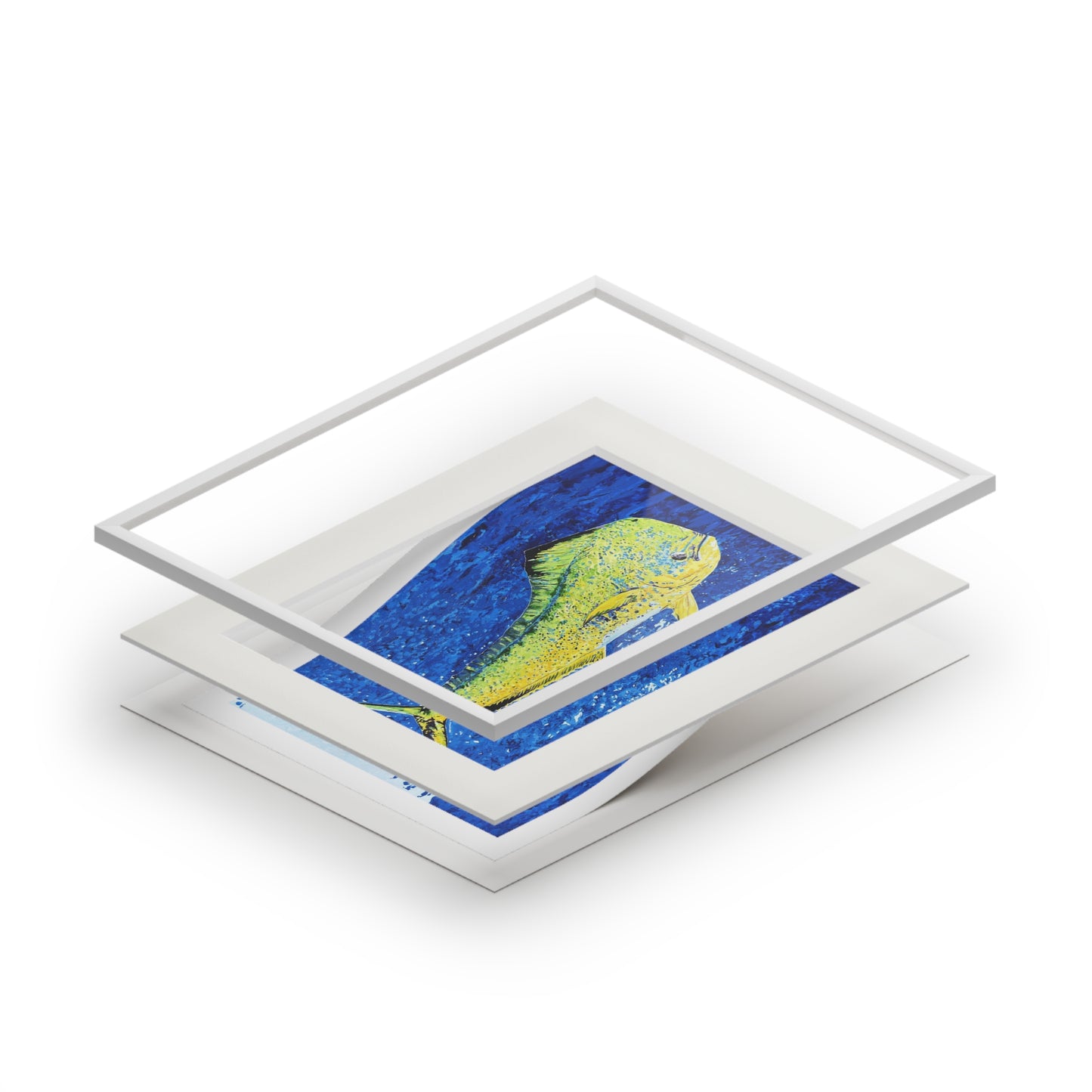 Mahi Mahi Coastal Fine Art Print with Passepartout Mat