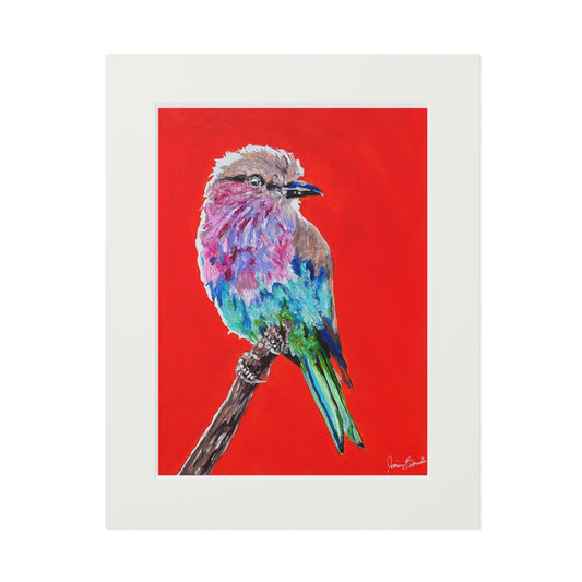 Colorful Lilac-Breasted Bird Fine Art Print with Passepartout — Vibrant Bird Wall Art