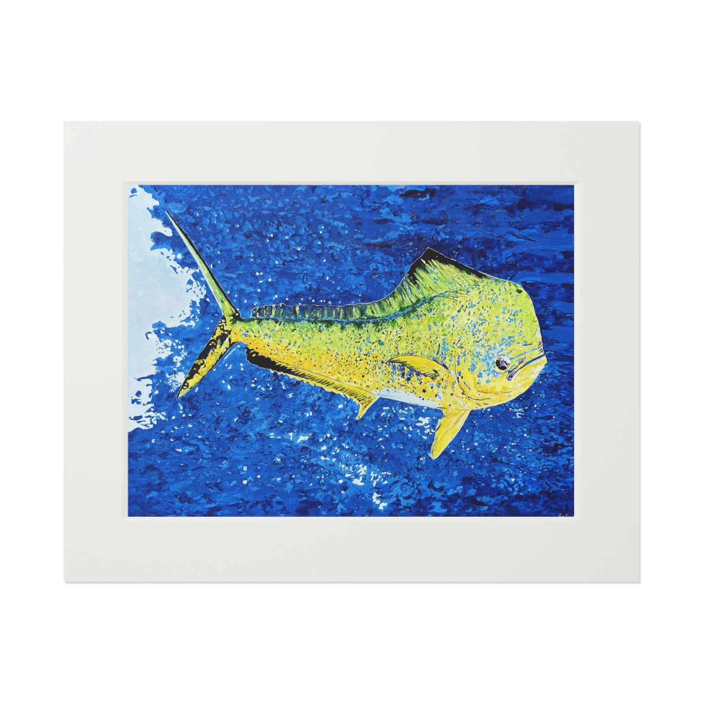 Mahi Mahi Coastal Fine Art Print with Passepartout Mat