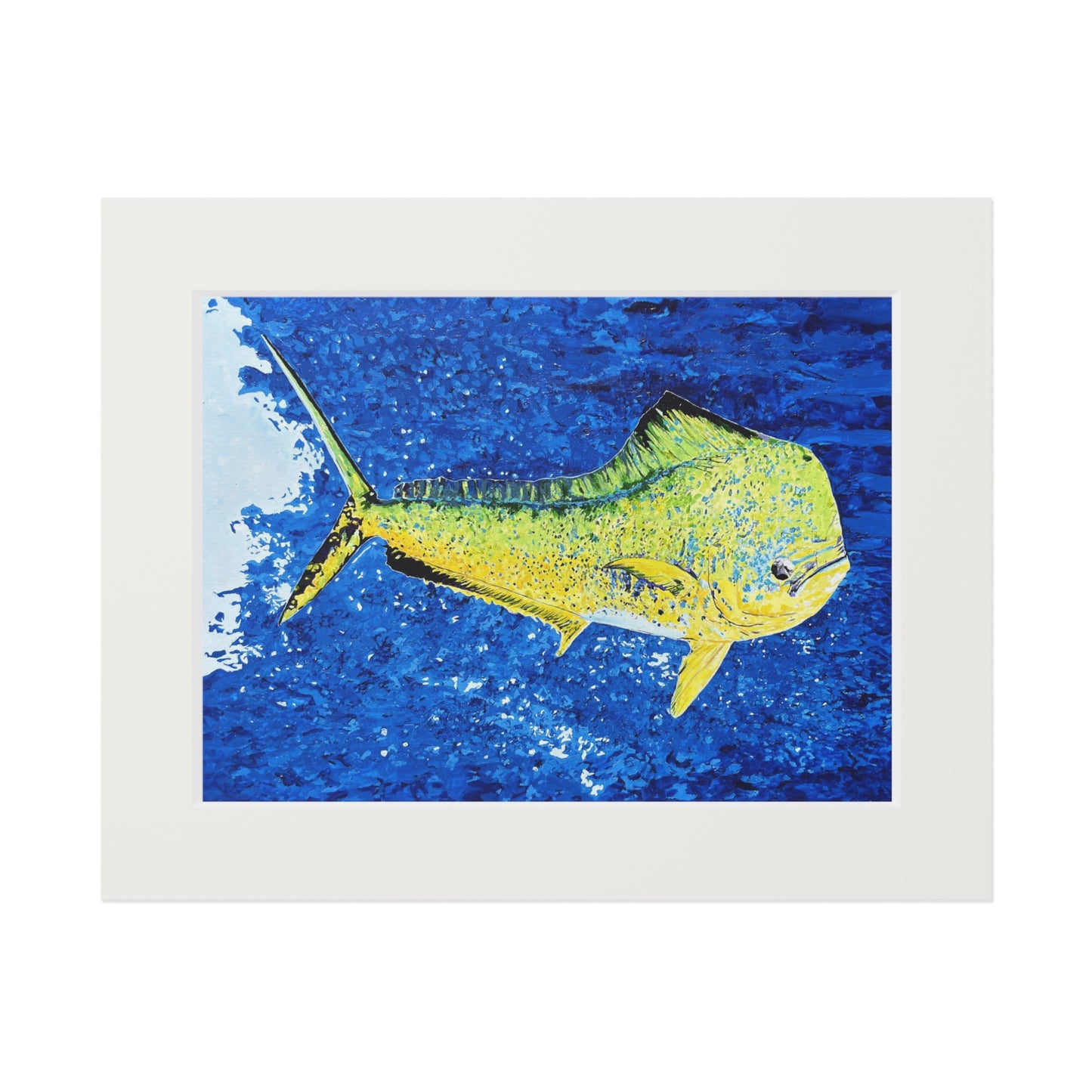 Mahi Mahi Coastal Fine Art Print with Passepartout Mat
