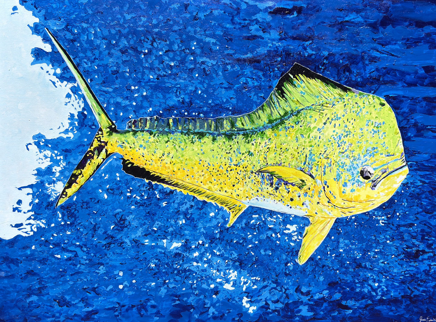 Mahi Mahi - Original Acrylic on 36 x 48 inch Canvas
